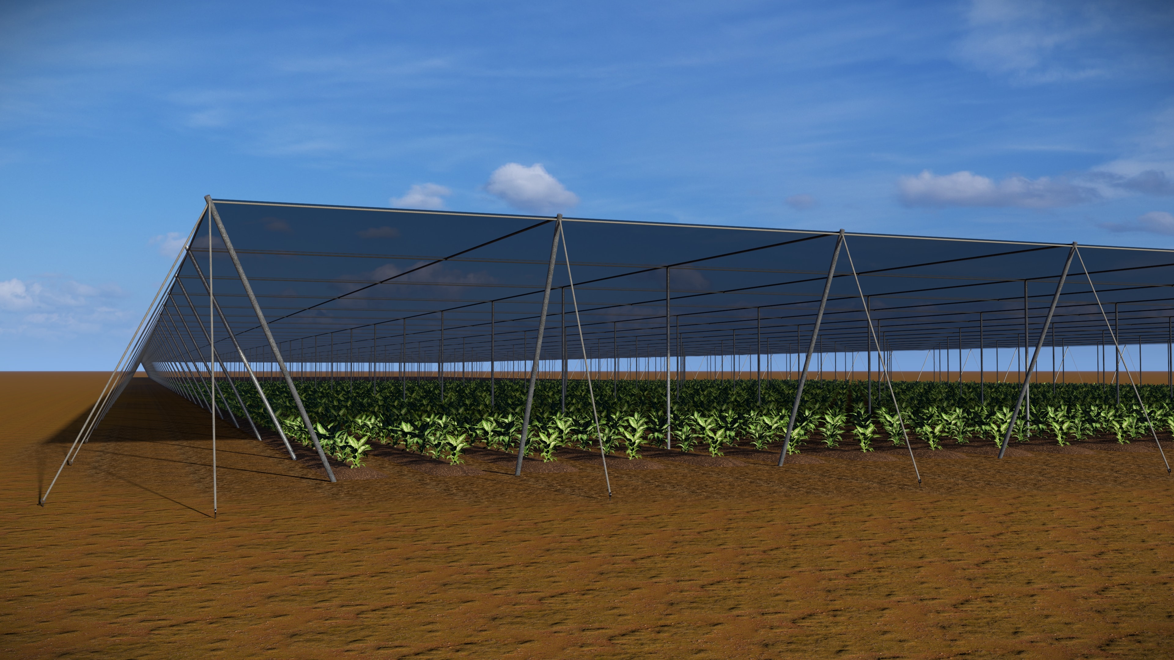 GIDCO Ag. agricultural field project
