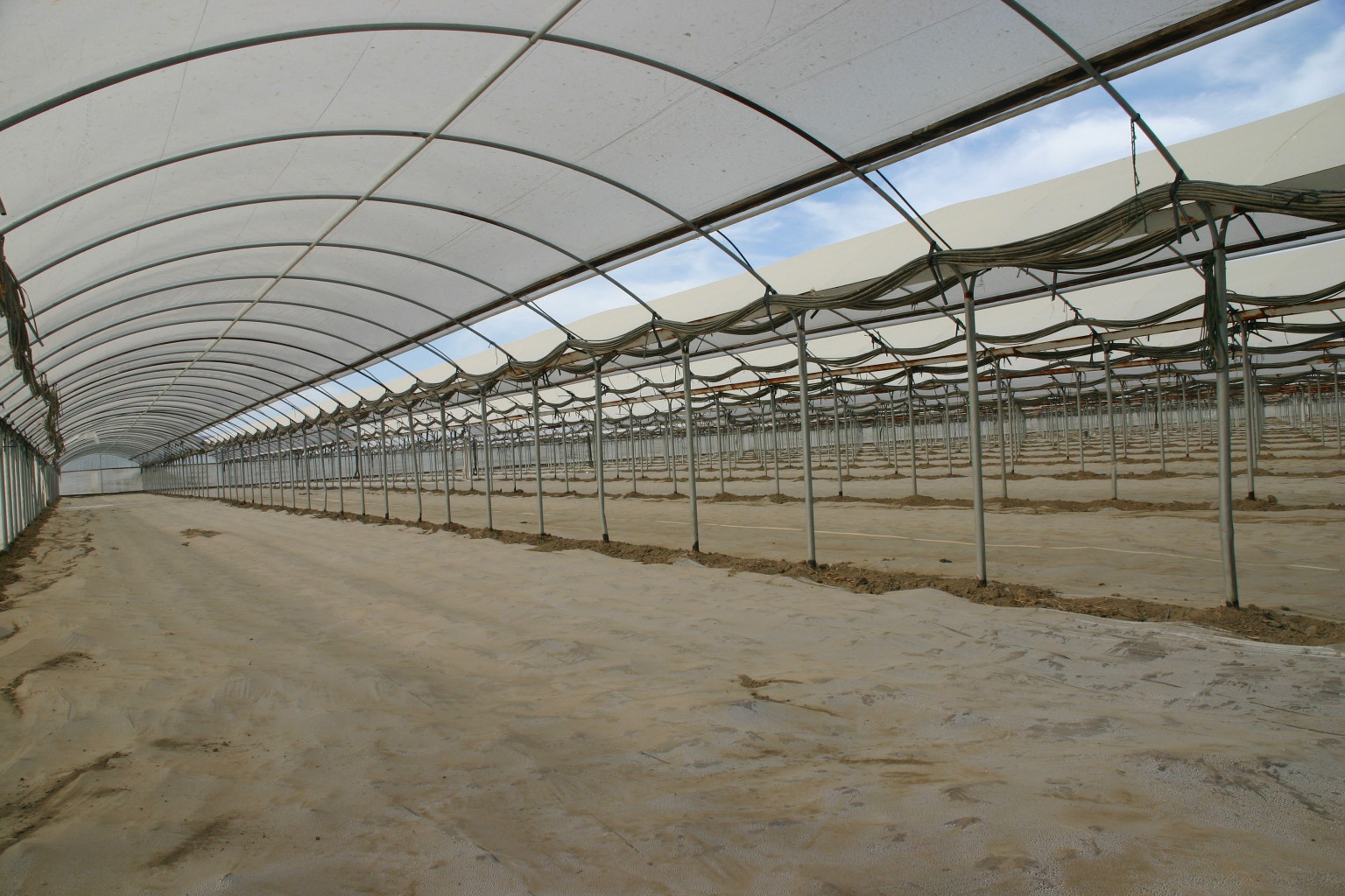 GIDCO Ag. crop protection structure