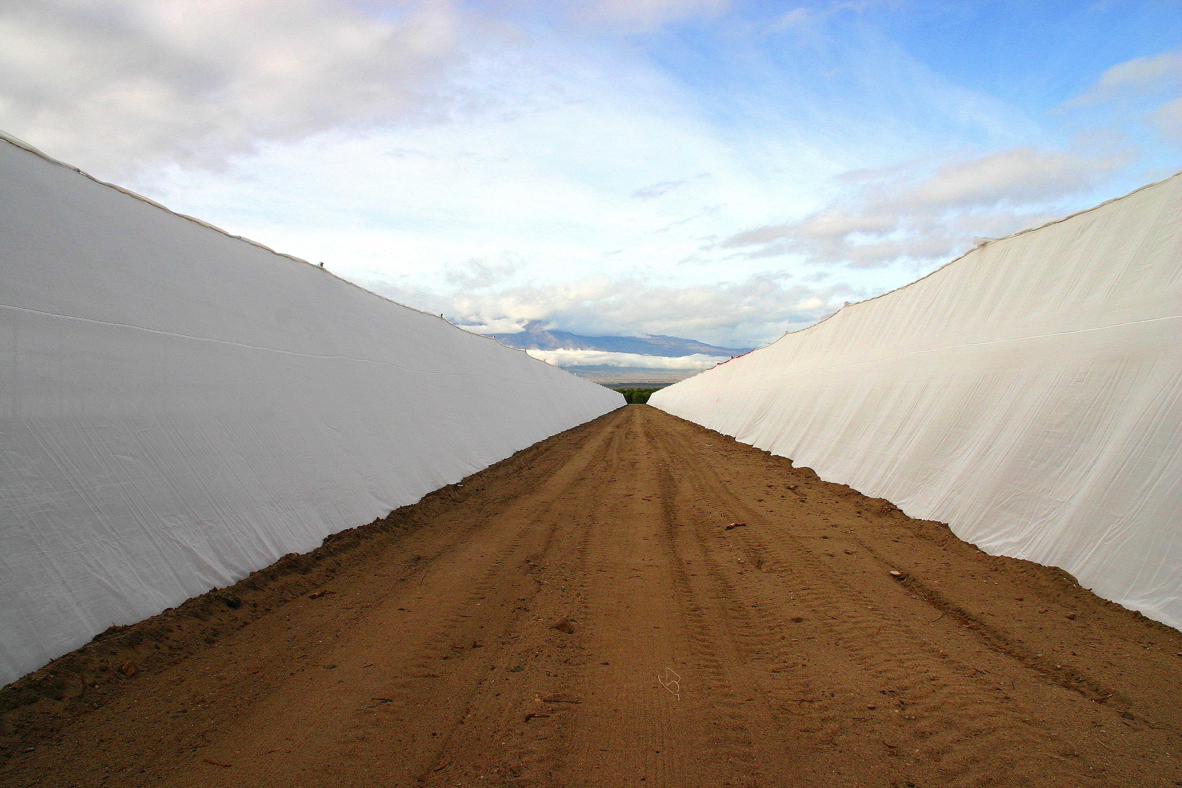2 × 10 Acres Screen Structures